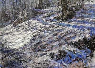 Luce dell’inverno