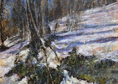 Alberi d’inverno