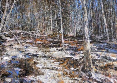 Bosco invernale