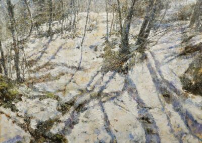 Ombre sulla neve