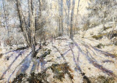 Luci nel bosco