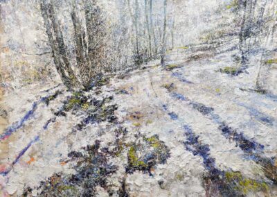 Luci nel bosco 2